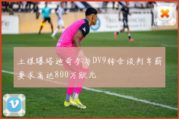土媒曝塔迪奇参与DV9转会谈判年薪要求高达800万欧元