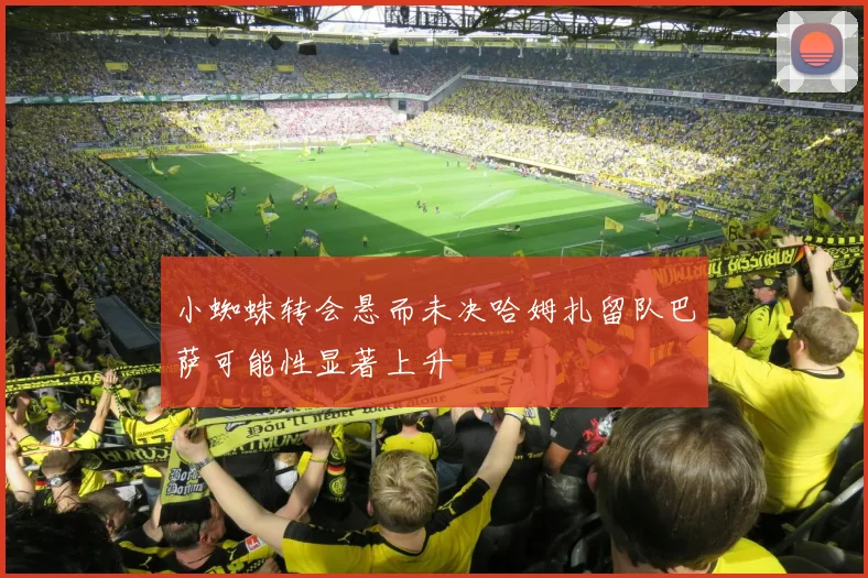 小蜘蛛转会悬而未决哈姆扎留队巴萨可能性显著上升